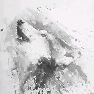 Meet your Posher, Coyote